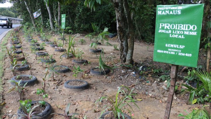 Lixeiras são transformadas em jardins pela Prefeitura de Manaus