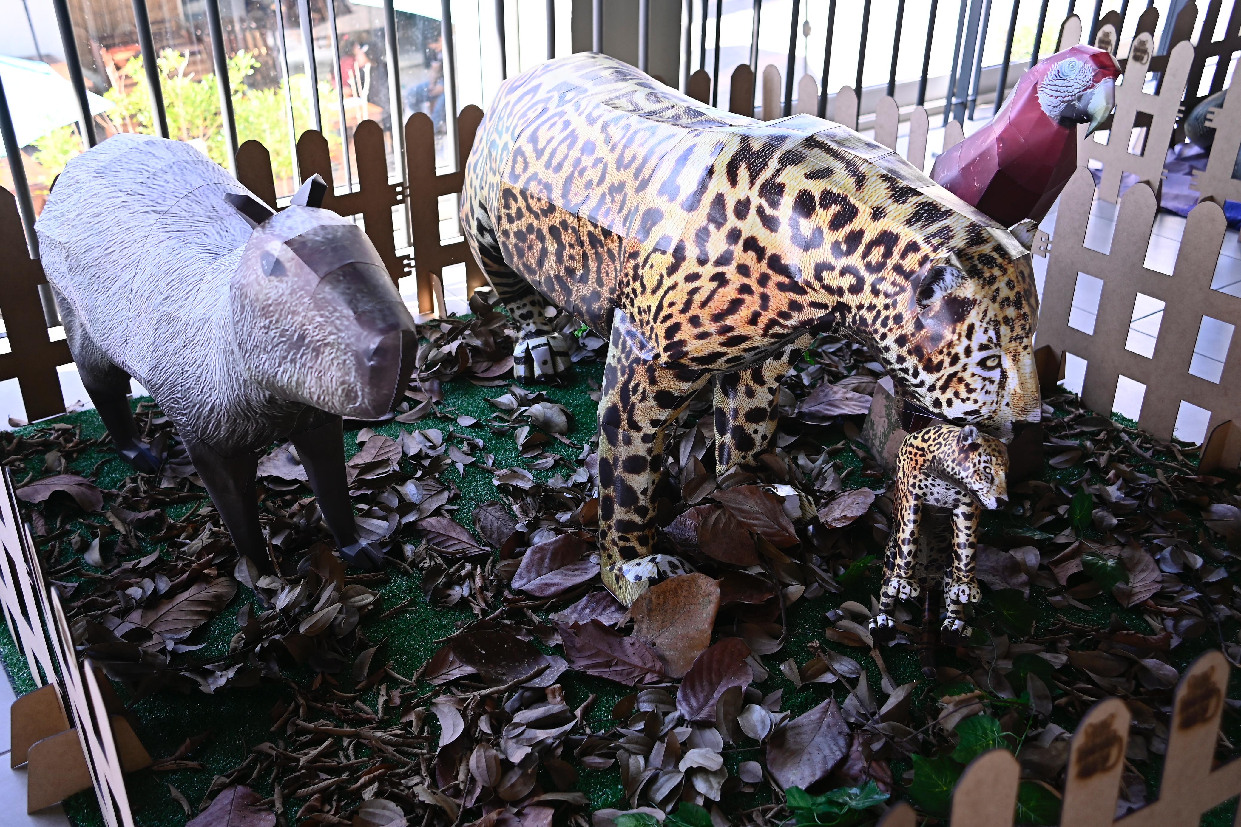 Exposição ‘Amazônia de Papel’