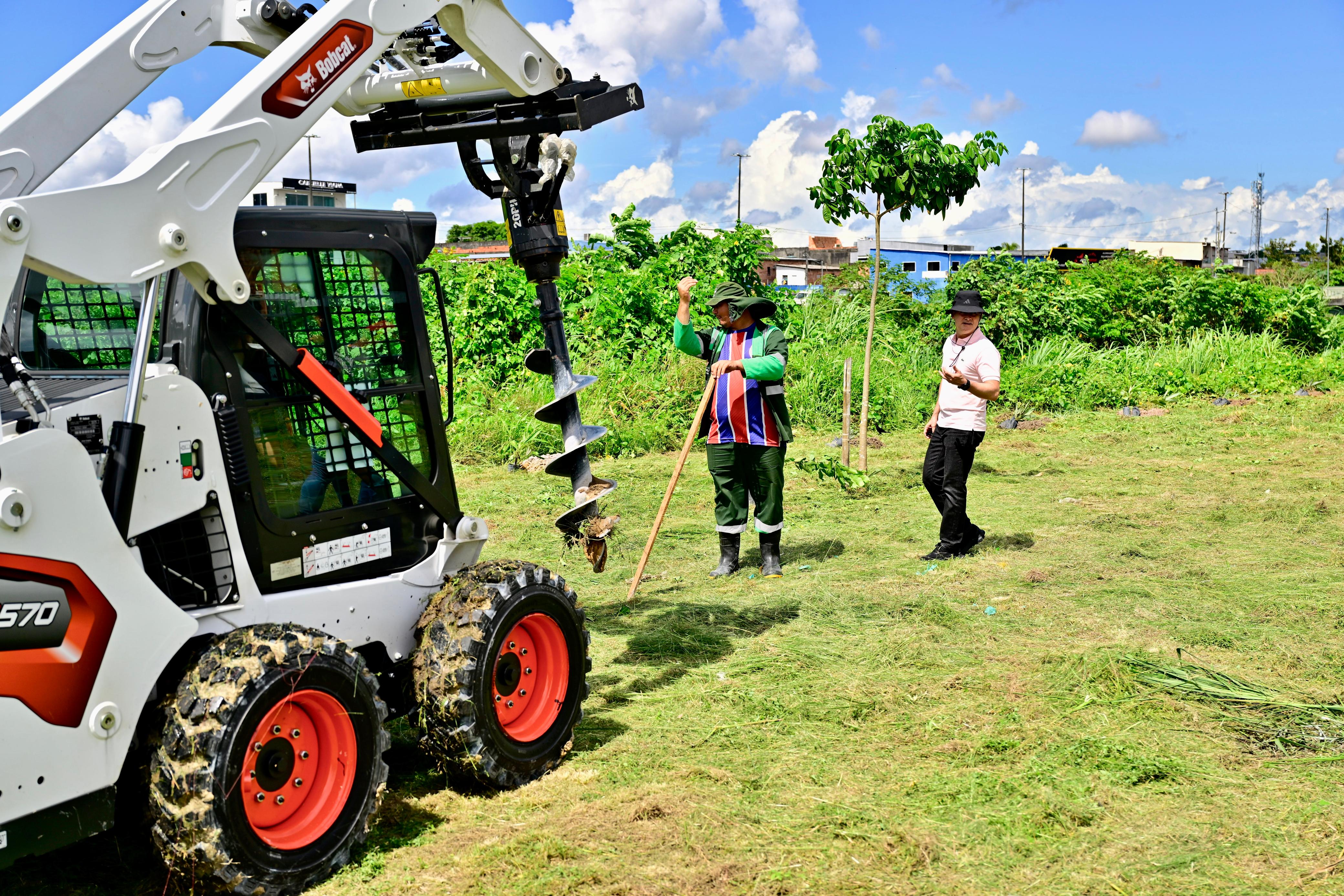 mecanização da arborização