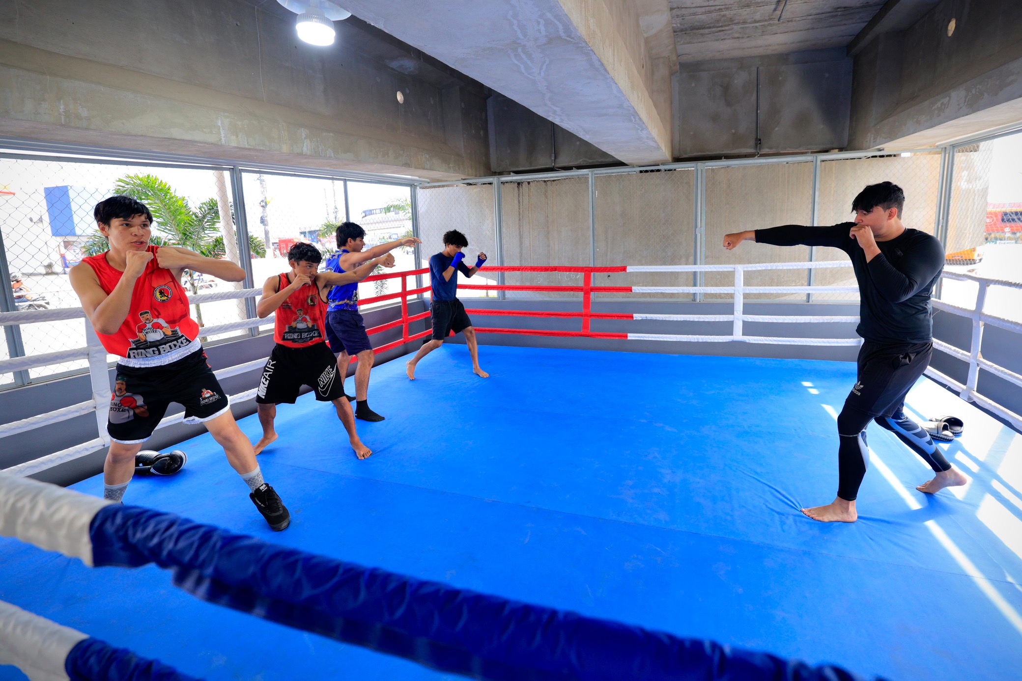 Boxe