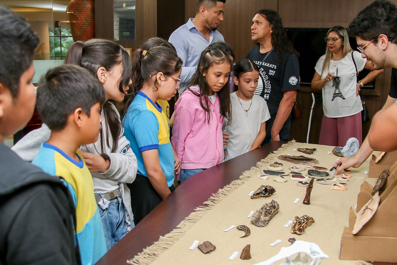 exposição de materiais fósseis