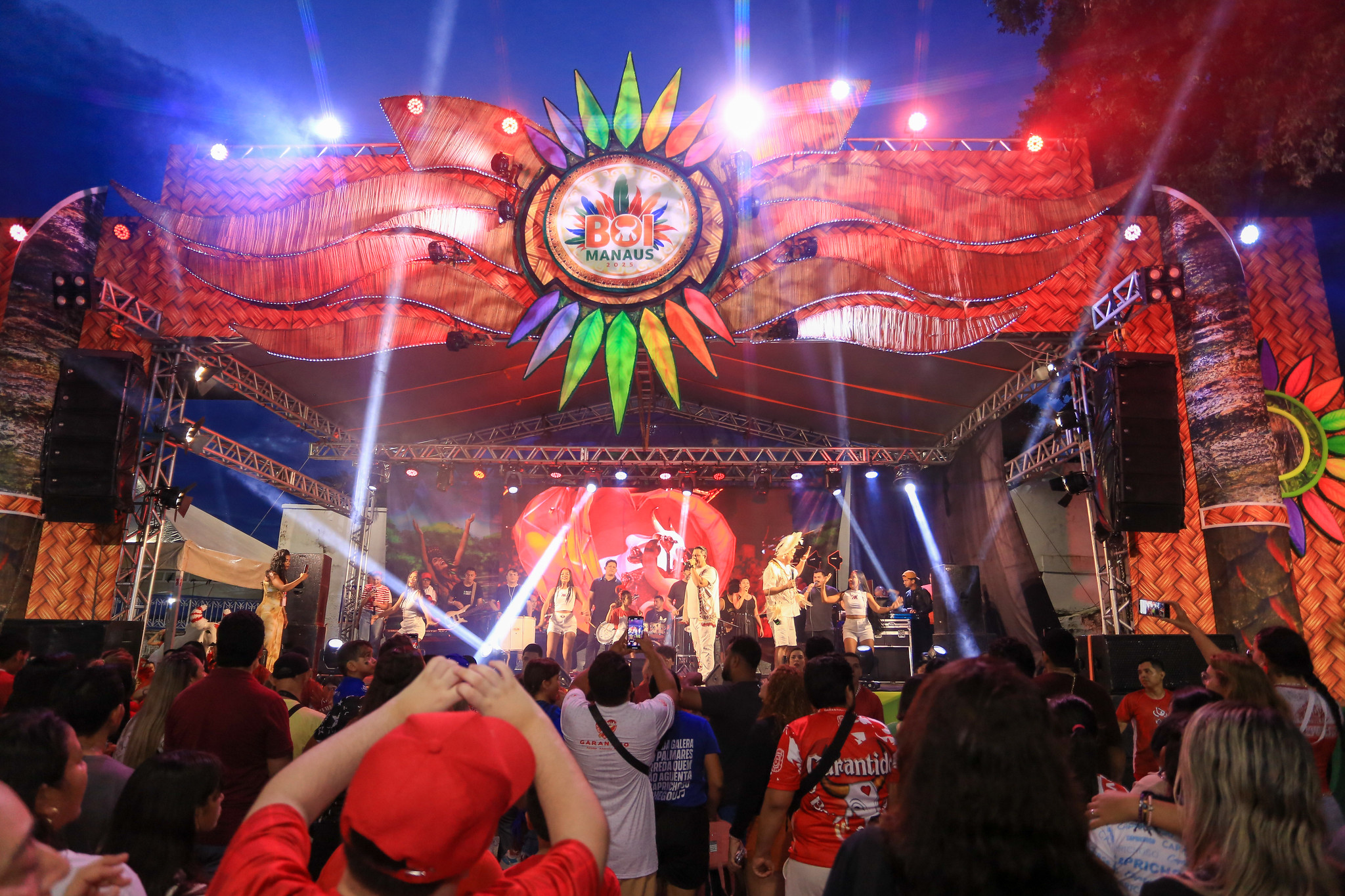 Boizinho Manaus
