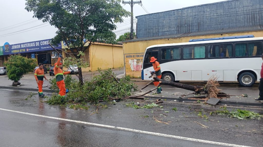 lixo_chuva_Semulsp-3