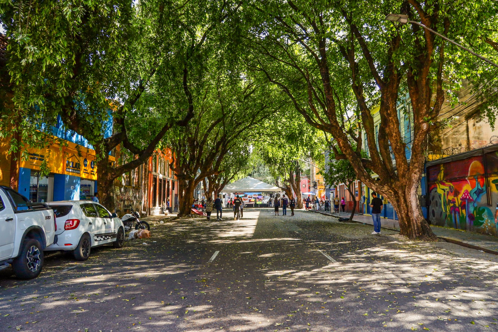 Arborização