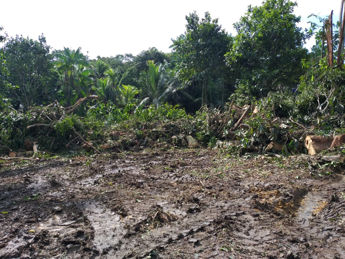 Equipe da Semmas flagra crime ambiental no Tarumã