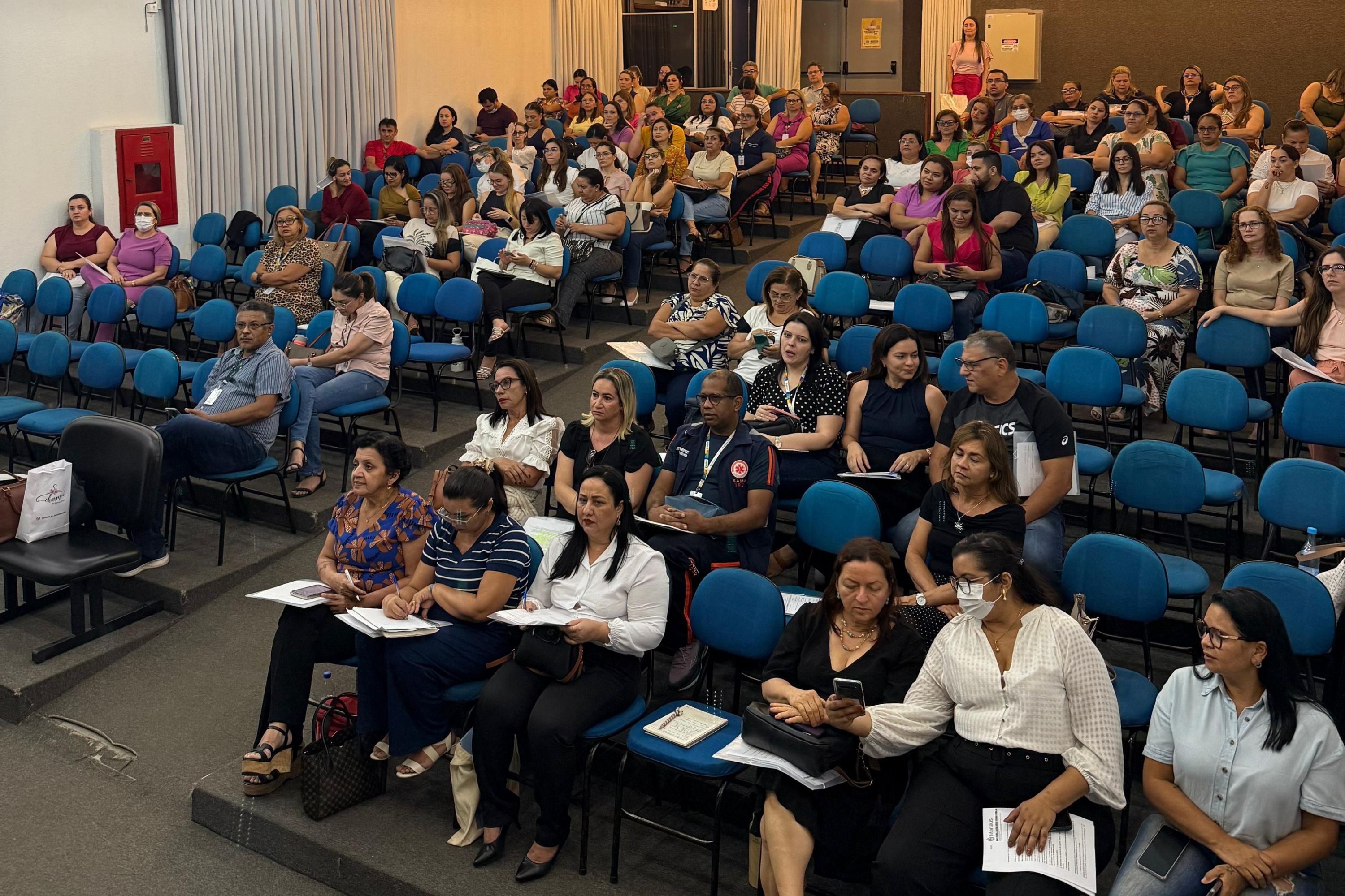 atenção a gestantes e puérperas