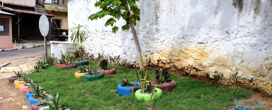 exlixeiraviciadas (2)