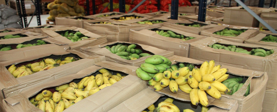 merendaescolarchamada (2)