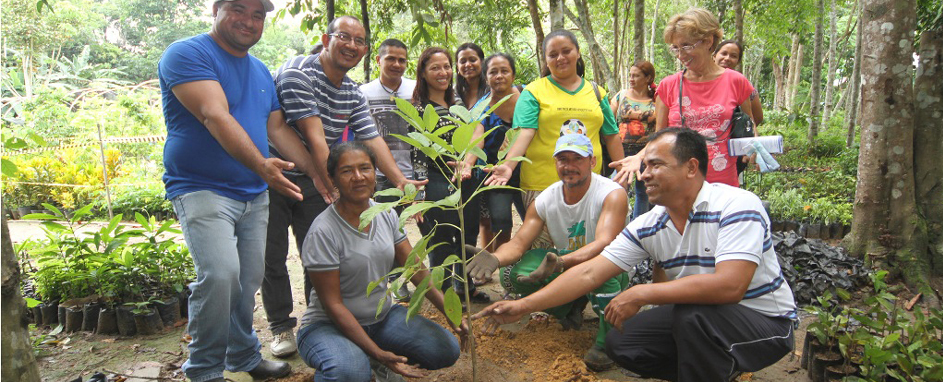 minicursocompost (3)