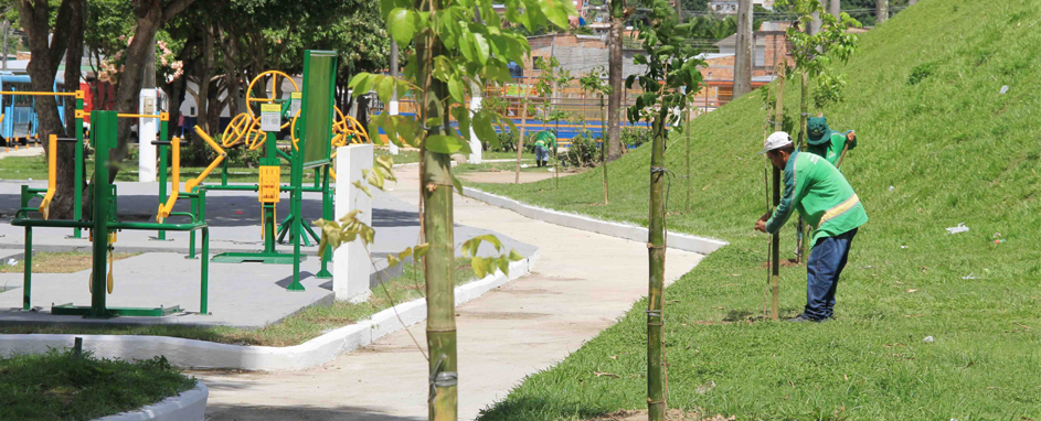 pracaraimundovinhote (2)