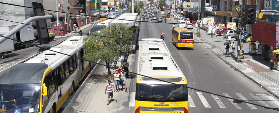 panfpasstocha (2)
