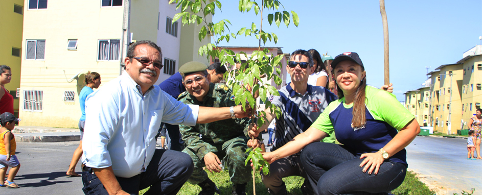 plantiomudavivmel (2)