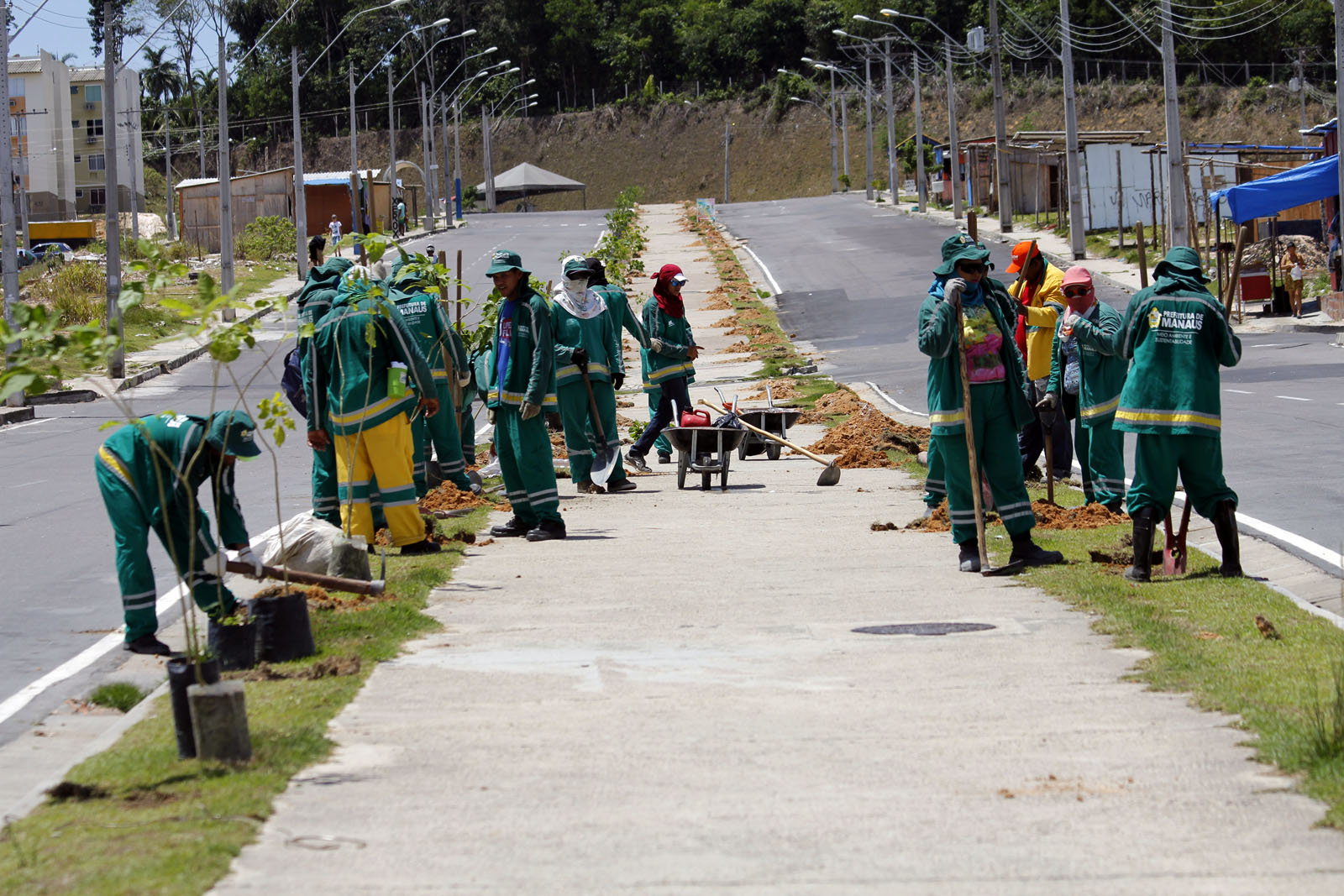 Manaus - 14/09/2016 Plantiu de mudas no Condominio residencial Viver Melhor Foto.Marinho Ramos / Semcom