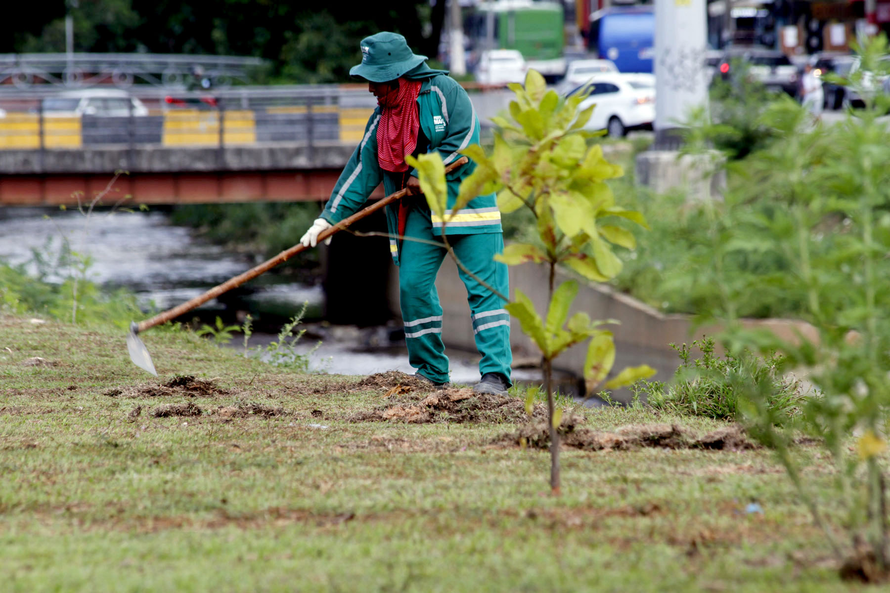 Manaus - 19-09-2016 Plantação de mudas na Av.Brasil compensa Foto.Altemar Alcantara / Semcom