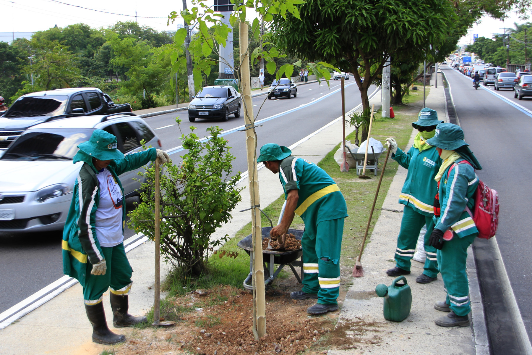 MANAUS/AM - 14-10-16 Arboriza Manaus na Av. Constantino Nery. Foto: Karla Vieira/SEMCOM.