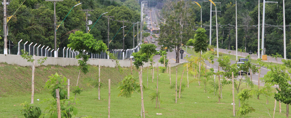 arbozncamp (2)