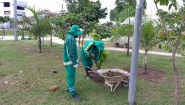06.04.18 Ações de manutenção prosseguem nas vias que receberam arborização e paisagismo.
Fotos: Divulgação / Semmas.