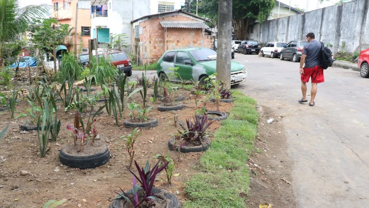 Mais duas lixeiras são transformadas em jardins