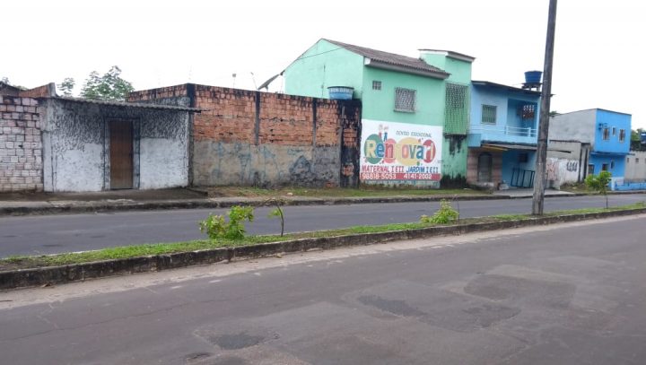 Mudas de árvores na avenida Paulo Jacob são danificadas