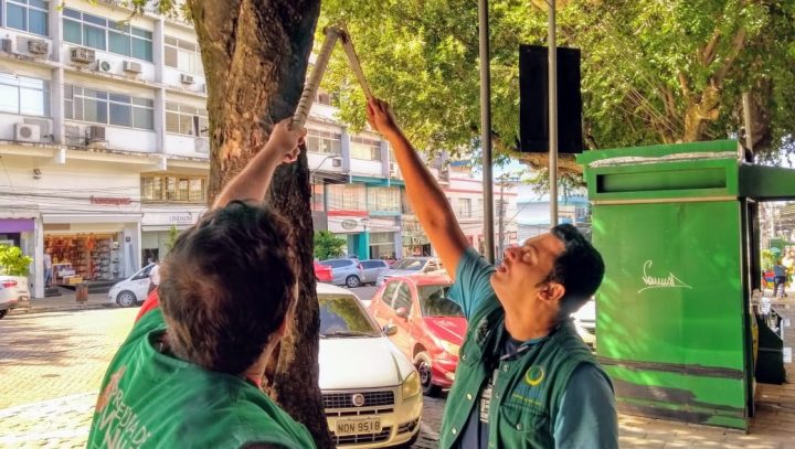 Prefeitura de Manaus sensibiliza população em relação às árvores do Centro