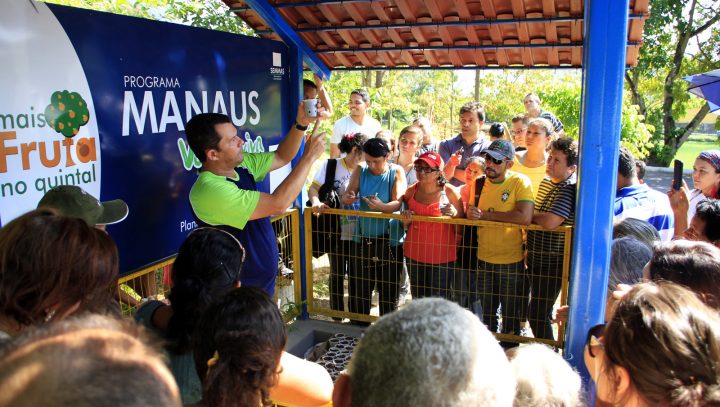 cultivo de hortaliças