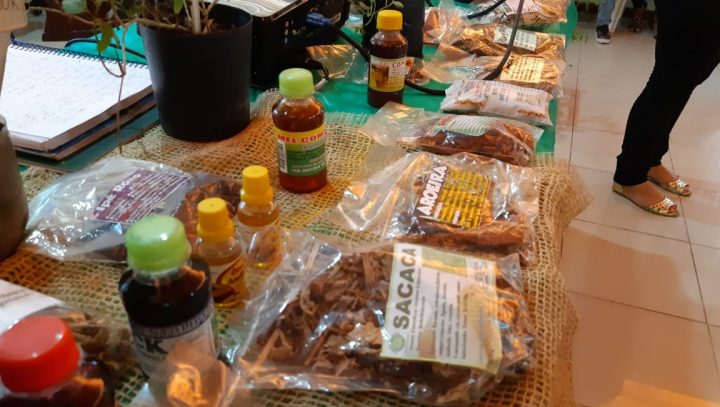 Minicurso ensina técnicas de uso e cultivo de plantas medicinais