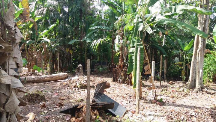 Corredor Ecológico do Mindu é monitorado por fiscais ambientais da Prefeitura