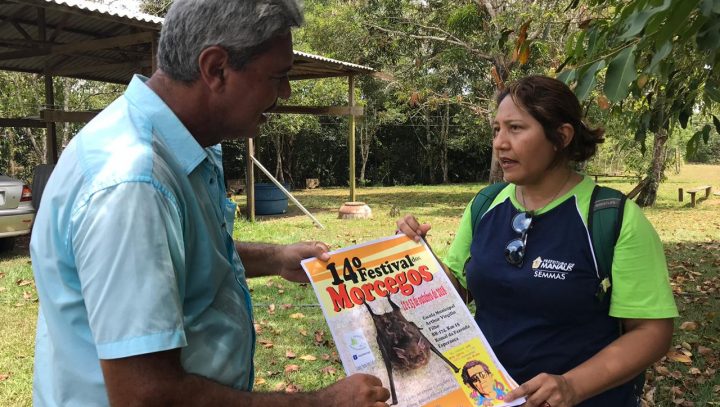 Festival de Morcegos