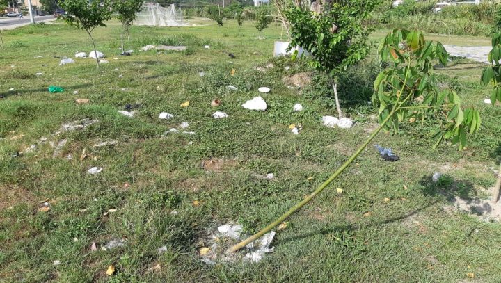 Mais de 100 mudas de árvores em crescimento são destruídas às margens do Igarapé do Mindu