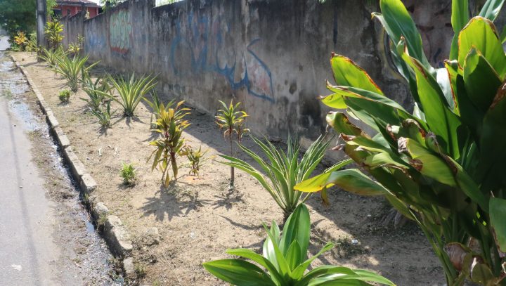 Capinação, jardinagem e mutirão de limpeza em toda Manaus