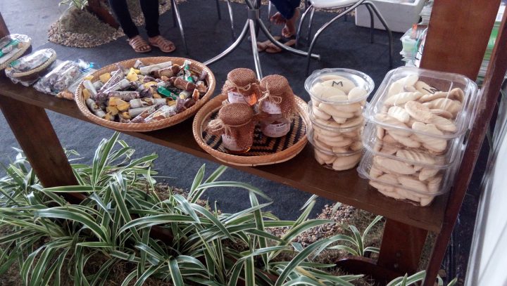 Prefeitura de Manaus apresenta projetos sustentáveis em seminário do TCE-AM