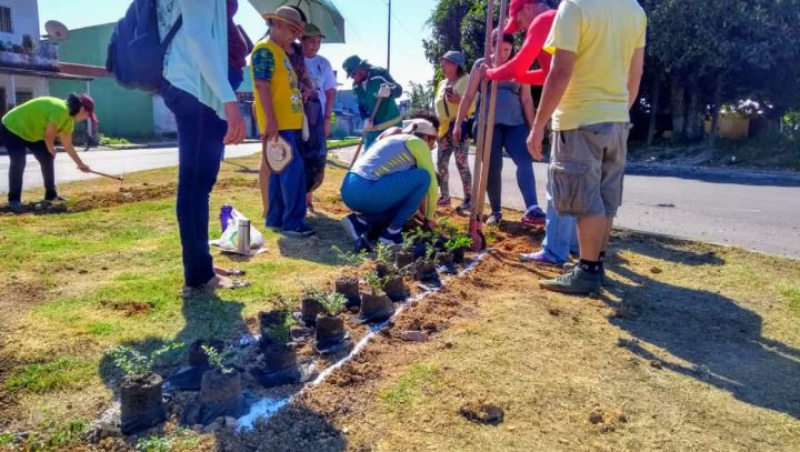 Prefeitura abre 30 vagas para minicurso sobre jardinagem e paisagismo
