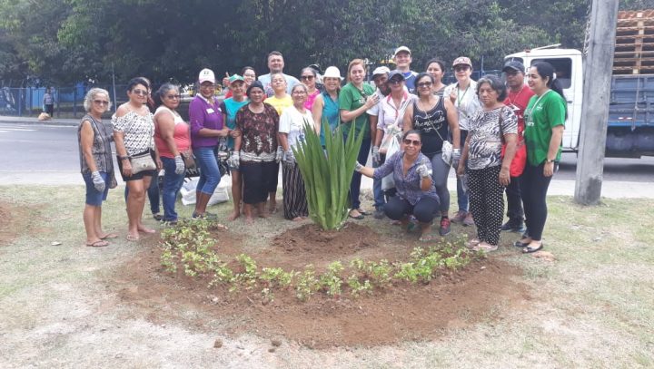Participantes de minicurso realizam plantio em rotatória do São José