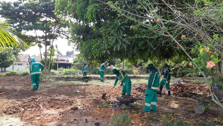 Distribuição e plantio de mudas serão algumas das ações do Dia da Árvore