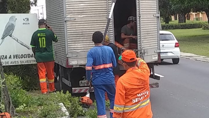 Manejo de árvores em via da zona Centro-Sul assegura preservação de aves