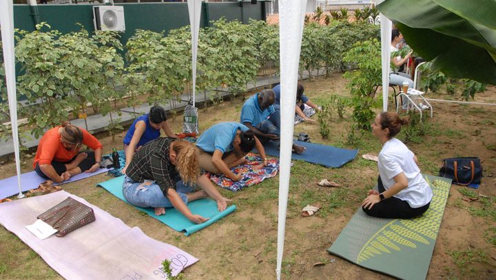 Práticas integrativas e complementares de saúde são oferecidas a usuários em Tenda Holística Itinerante