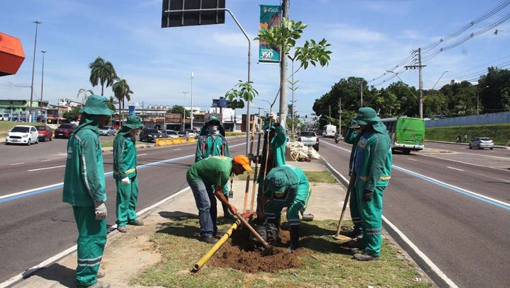 Avenida Constantino Nery tem reposição de 100 mudas arbóreas