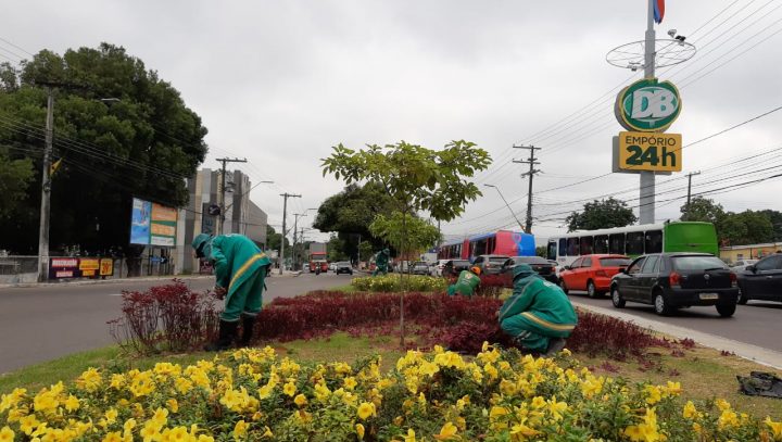 Paisagismo na cidade é intensificado com período chuvoso