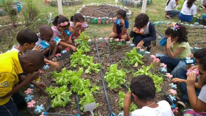 Escola da prefeitura recebe prêmio nacional por práticas saudáveis