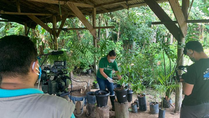 Videoaula ensina como plantar espécies frutíferas em vasos