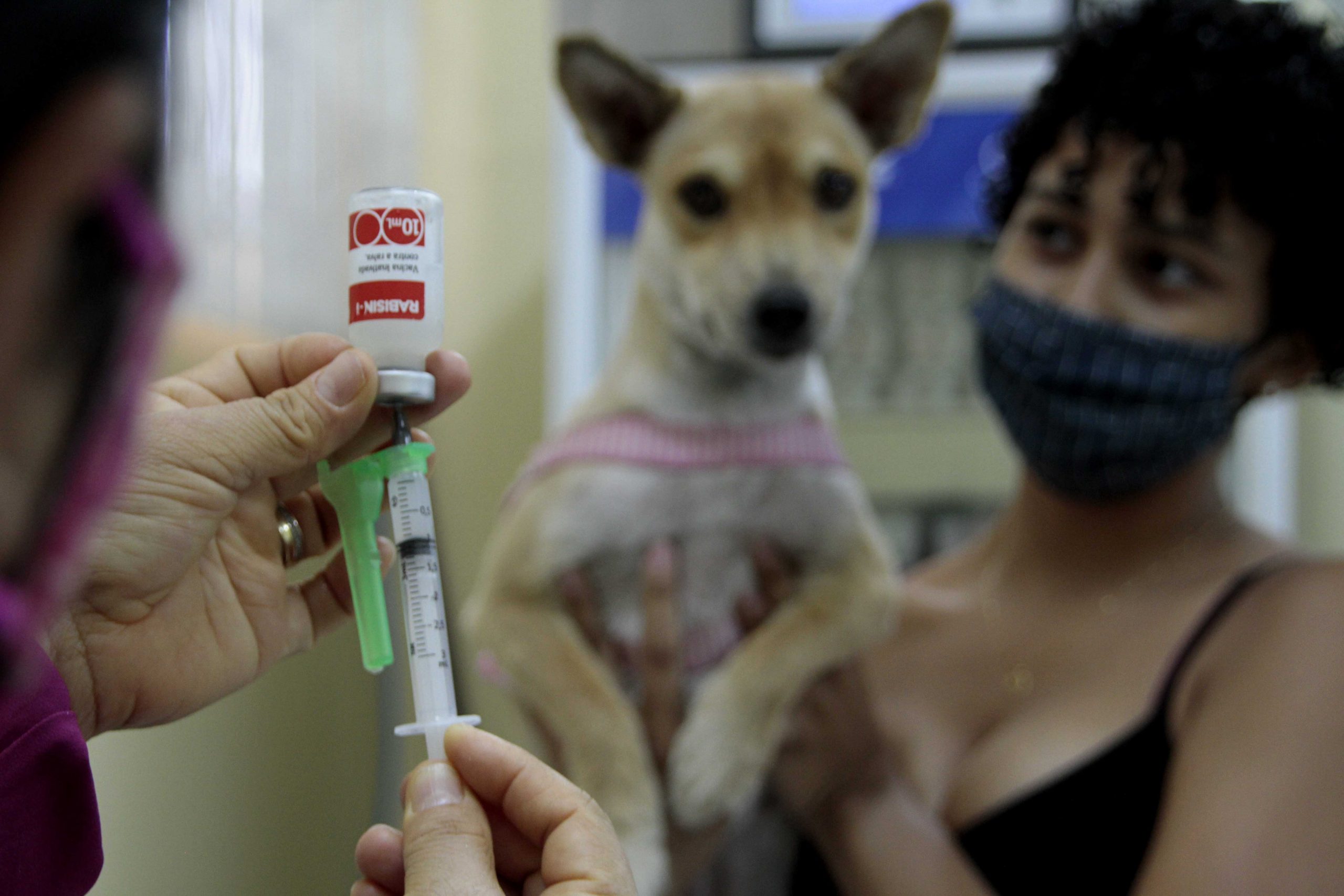 Unidade m&oacute;vel do CCZ retoma a vacina&ccedil;&atilde;o antirr&aacute;bica animal - Prefeitura  Municipal de Manaus