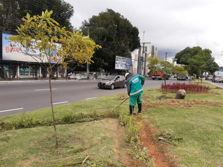 Ações de revitalização de áreas verdes da cidade são intensificadas