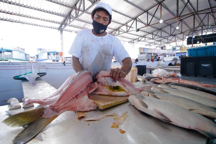 Parceria da prefeitura viabiliza curso gratuito de Amanhar Peixe