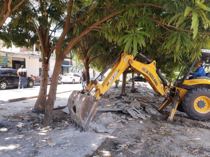 Ocupação irregular em área verde do Águas Claras é alvo de fiscalização da prefeitura  