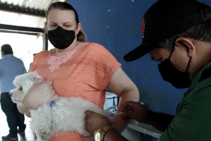 Campanha antirrábica da prefeitura inicia na zona rural