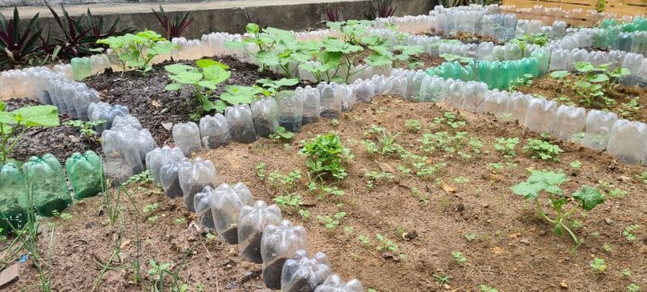Cozinha comunitária da zona Oeste recebe da prefeitura kits de sementes