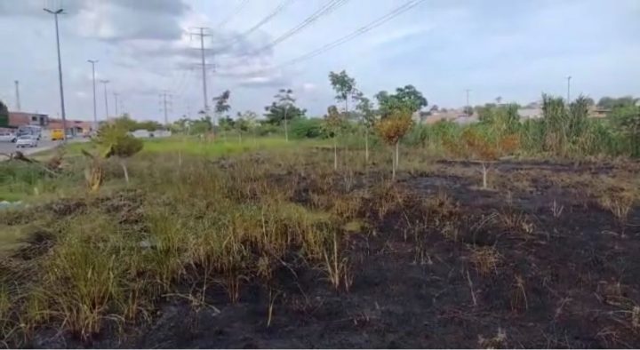 Caminhão-pipa da prefeitura é acionado para conter incêndio no parque linear do Igarapé do Mindu