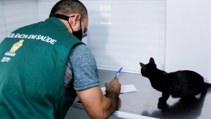 Programação semanal da campanha antirrábica animal é divulgada pela prefeitura