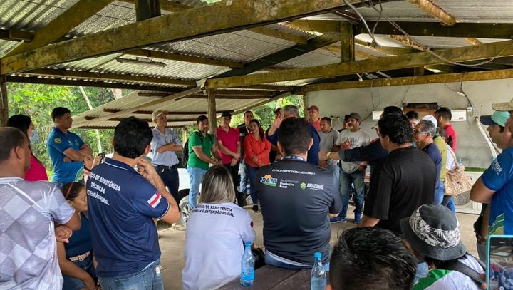 Ação incentiva o cultivo de pitaia em Manaus