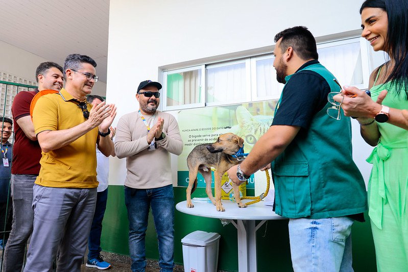 Prefeito David Almeida anuncia início da campanha de Vacinação Antirrábica Animal